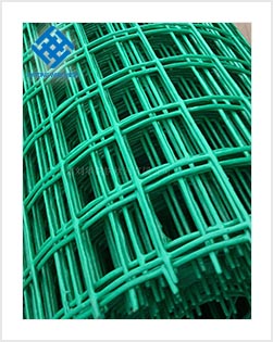 PVC Coated Welded Wire Mesh for chicken fencing