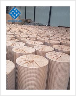1 inch hole hot-dipped galvanized welded wire mesh