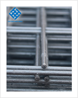 Electro galvanized welded wire mesh panel for construction