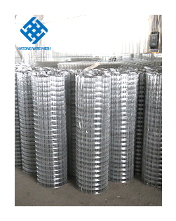Hot dipped galvanized welded wire mesh roll for crab lobster traps