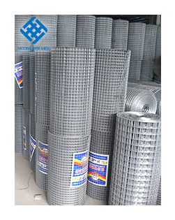 Industrial Electro Galvanized Welded Wire Mesh Roll with sturdy structure