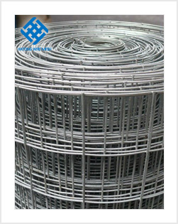 0.8mm wire welded wire mesh  manufacturer